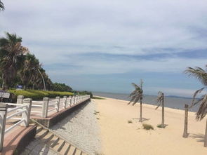 厦门环岛路骑行风景