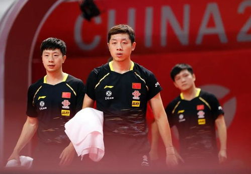 樊振东与马龙许昕庆祝男团夺冠