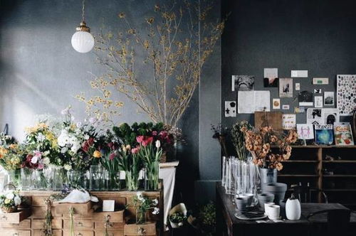 皇上藏海 我们好像在哪儿见过