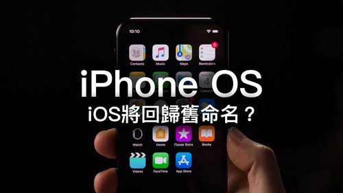 社交媒体上关于iPhone改名的讨论截图