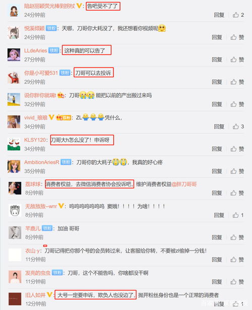 赵丽颖粉丝评论截图拼图