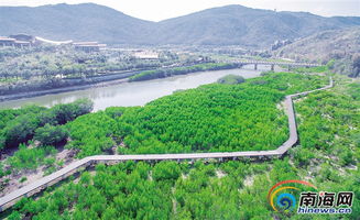 江西省生态保护区绿意盎然的山林景象