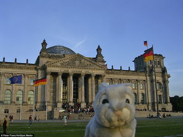 乌克兰国旗与柏林国会大厦