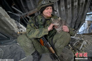 独家丨这次，乌克兰将“特洛伊木马”玩明白了