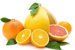 什么白酒适合柚子泡酒？这款清香小曲酒让果香更浓郁