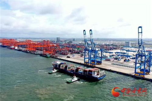 160亿绿色补助来了！我眼中的生态保护新未来