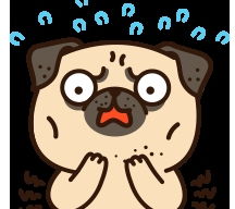 狗狗坐副驾驶从兴奋到无精打采的对比图