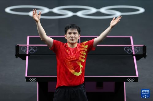 樊振东在巴黎奥运会上庆祝胜利