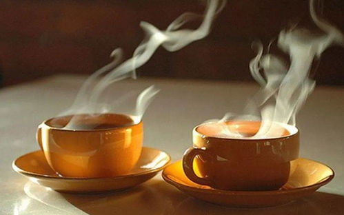 人间至味是清欢｜我在烟火中，寻一味宁静的温柔