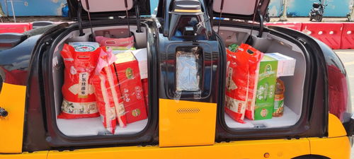 哈佛女孩谈‘世界充满分歧’，背后打架场面意外出圈，网友质疑声中她该如何回应？