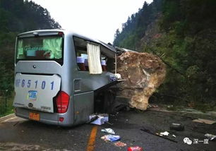 女子当街打砸汽车事件真相：背后竟因精神疾病发作？