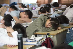 高三学生复习场景