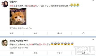 网络评论截图与表情包对比图