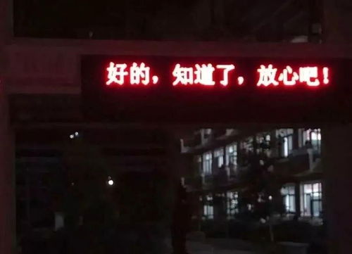 高考倒计时电子屏