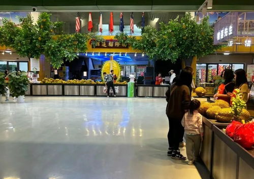 榴莲价格腰斩，我终于实现了‘榴莲自由’！