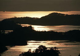 夕阳下的湖泊与环保标语