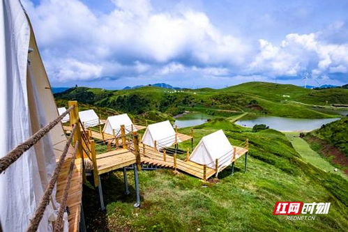 新疆阿勒泰草原上的帐篷营地