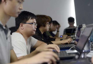 办公室内技术人员工作场景