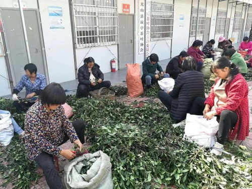 农村妇女在非遗工坊打包发货