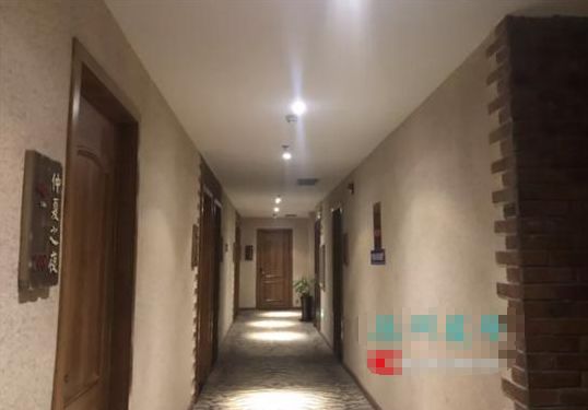 调查人员在酒店房间内进行蛇类痕迹排查工作