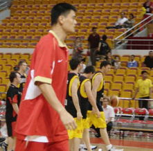 姚明在训练场上的专注神情