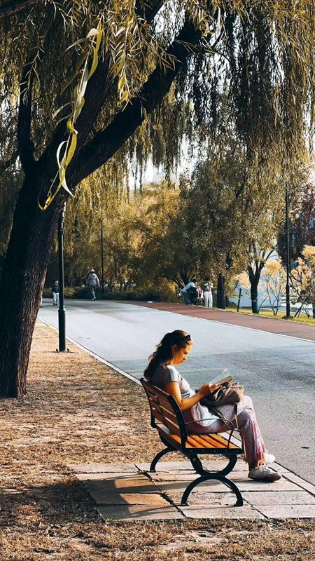 一个女孩在公园长椅上看书