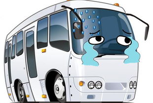 台湾旅行团缅甸惊魂：3人因不会用手机被放 5人至今生死未卜