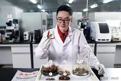 张雪峰公司办公环境展示