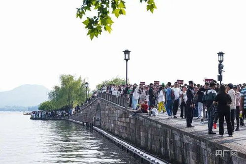西湖边游客拍照打卡
