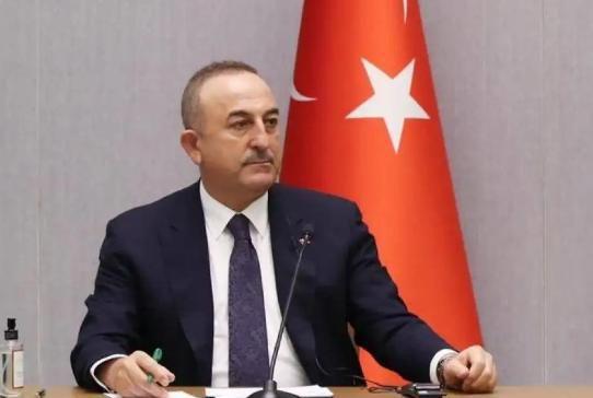 谈判结束后土耳其外长费丹发表讲话