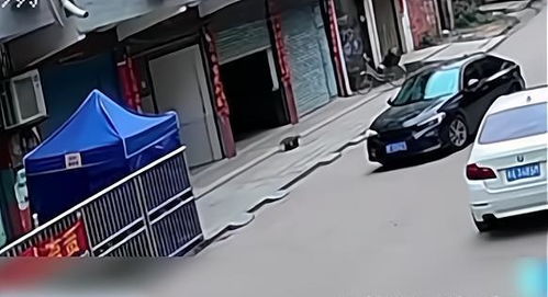 惊魂一刻！小车破门而入 女孩抱起妹妹躲过一劫，背后真相令人后怕