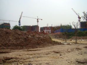 雅迪团建留垃圾风波背后：品牌责任与环保意识的冲突