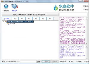 AI助手帮助分析JSON数据结构并生成代码片段