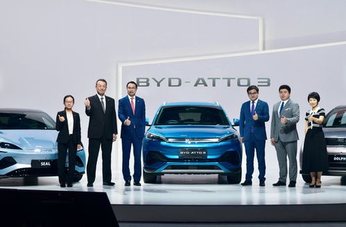 比亚迪电动车停放场景