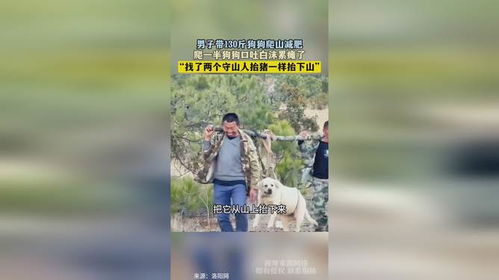 狗狗被守山人抬下山的画面