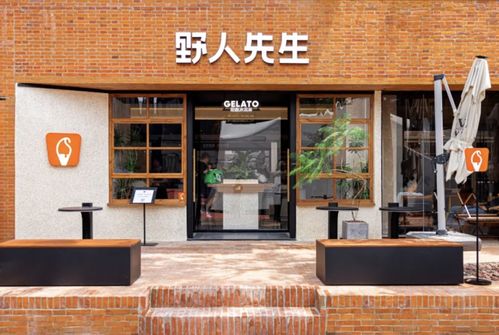 新中式冰淇淋品牌野人先生的产品展示