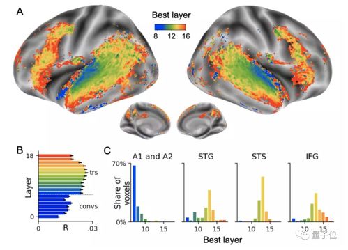 AI与人类大脑对比示意图