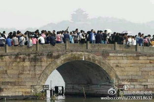 西湖断桥人山人海