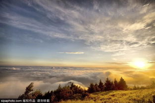 一位年轻人站在山顶远眺风景