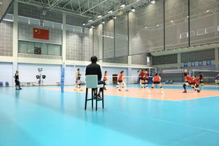 中国女排队员在训练场上认真备战