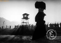 战争中平民流离失所的场景