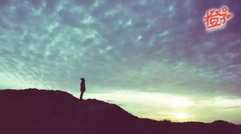 藏海凝视远方思考未来