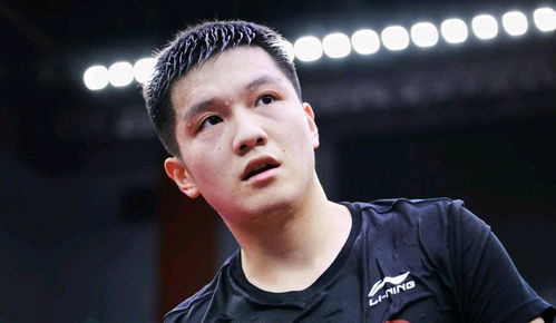 樊振东训练备战新赛季