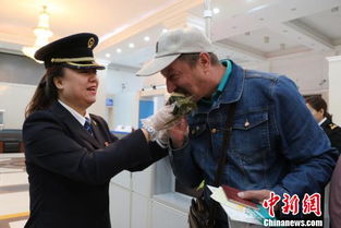 外国游客在中国街头体验端午节