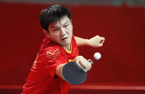 樊振东身穿德国俱乐部队服