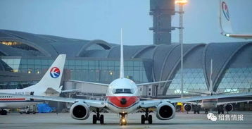 卢卡申科访华背后：北京的特殊礼遇与国际局势新动向