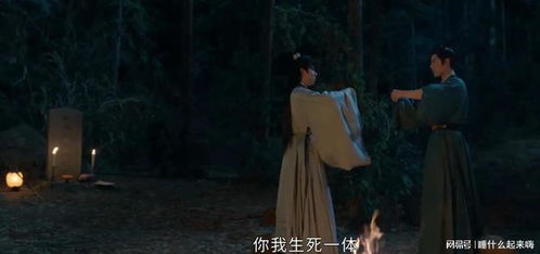 藏海与香暗荼并肩站立远望