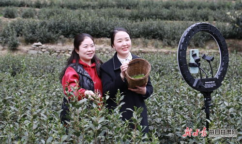 李亚鹏为何不拍戏还债？妻子回应揭开真相，网友炸锅