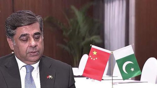 巴基斯坦副总理访华与中方会晤