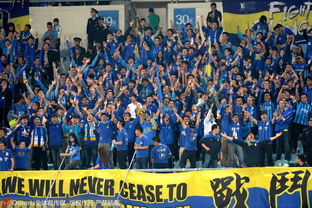 球迷手持城市旗帜呐喊助威